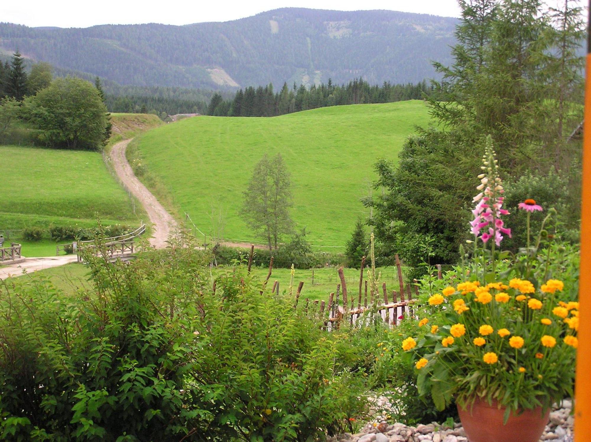 Urlaub Am Bio-Bauernhof Liebchen Villa Zeutschach Exterior photo